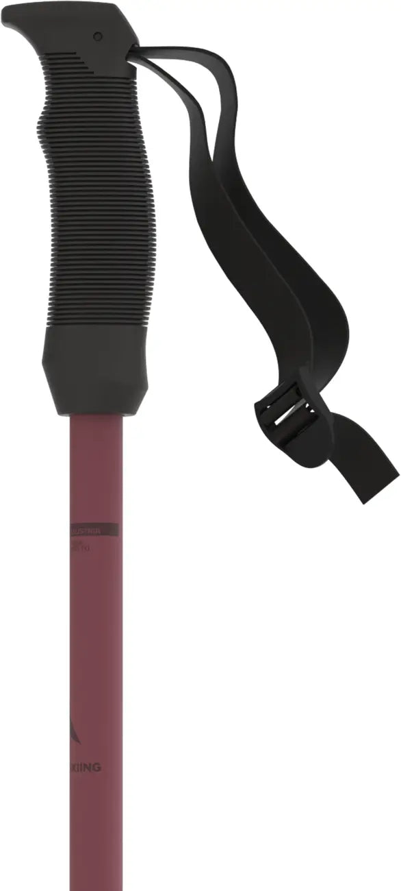 Atomic Cloud Ski Poles