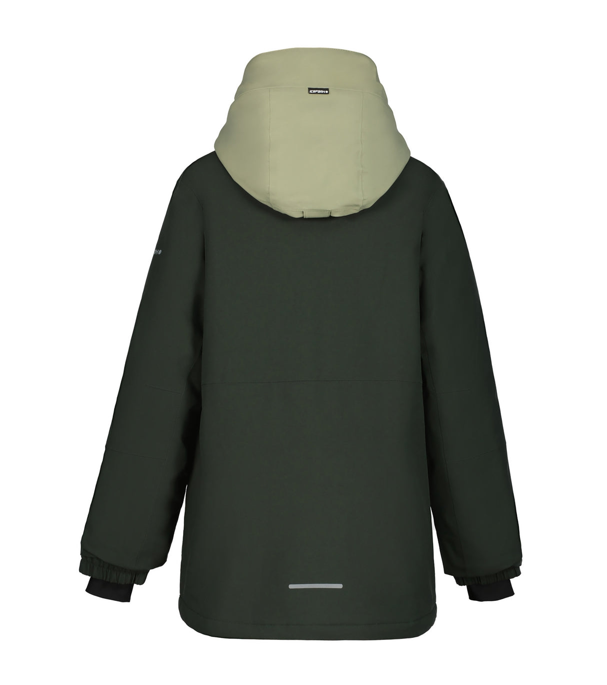 Icepeak Lamar Junior Jacket ski jacket -- Light Green 527 colorway lifestyle view showing full jacket silhouette