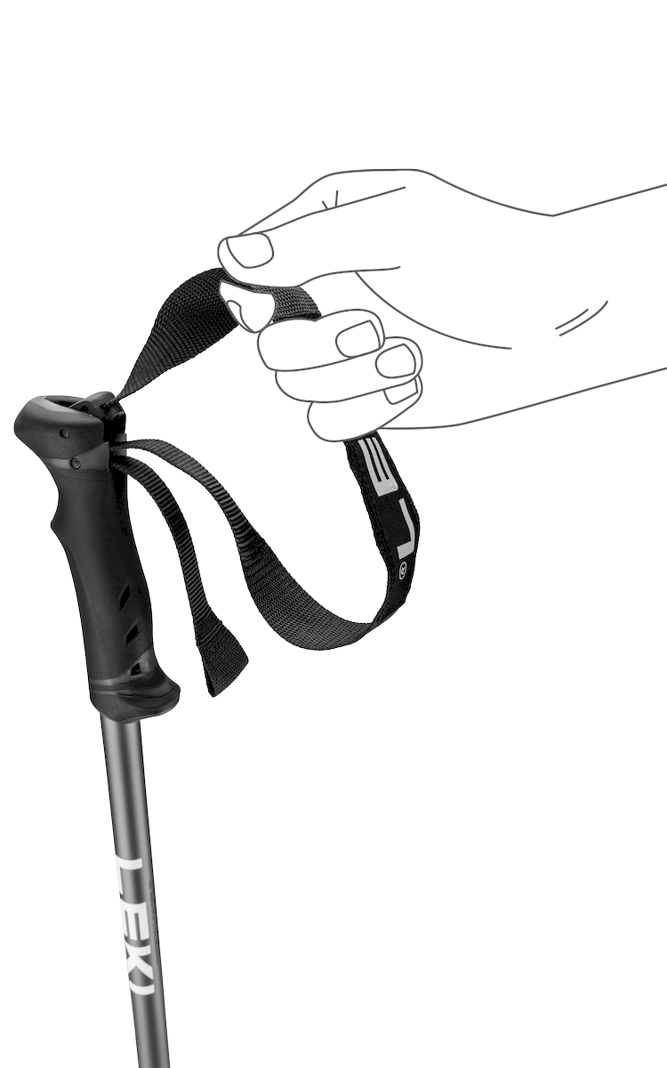 Leki Qntm Ski Poles