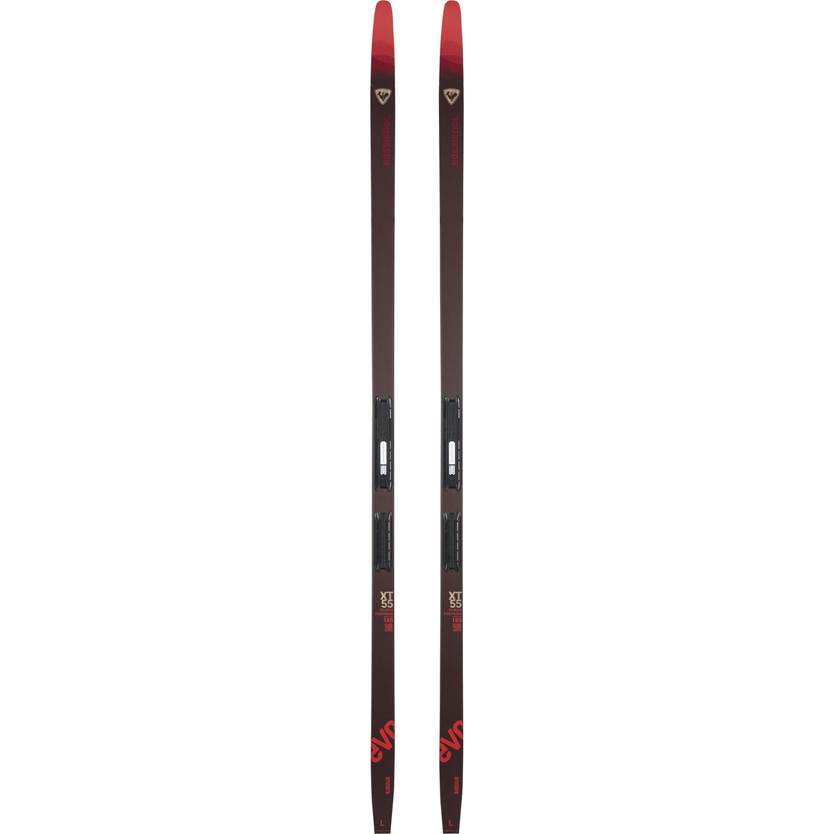 Rossignol Evo Xt 55 Xc Skis cross-country ski -- top sheet graphic at Willis Ski and Board Pittsburgh