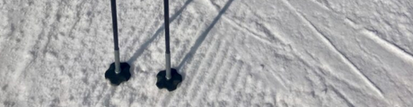 How to Choose Ski Poles: Length, Material, and Style by Discipline
