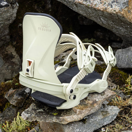 Arbor Sequoia Snowboard Bindings snowboard binding -- top view showing highback and strap detail at Willis Ski and Board