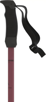 Atomic Cloud Ski Poles