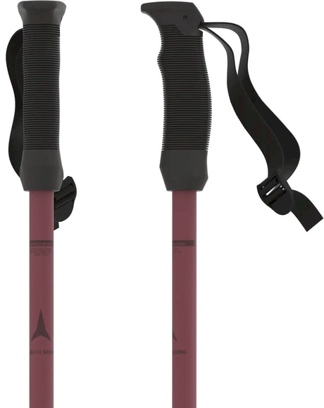 Cloud Ski Poles