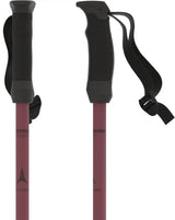 Atomic Cloud Ski Poles