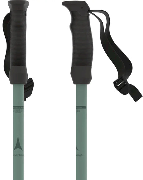 Cloud Ski Poles