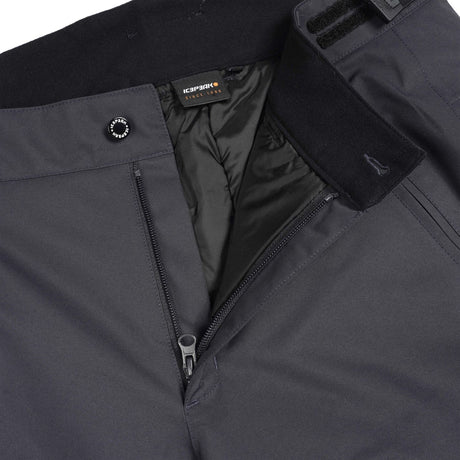 Icepeak Colman Mens Pant 2026 ski pant -- Grey colorway back view showing seat and fit