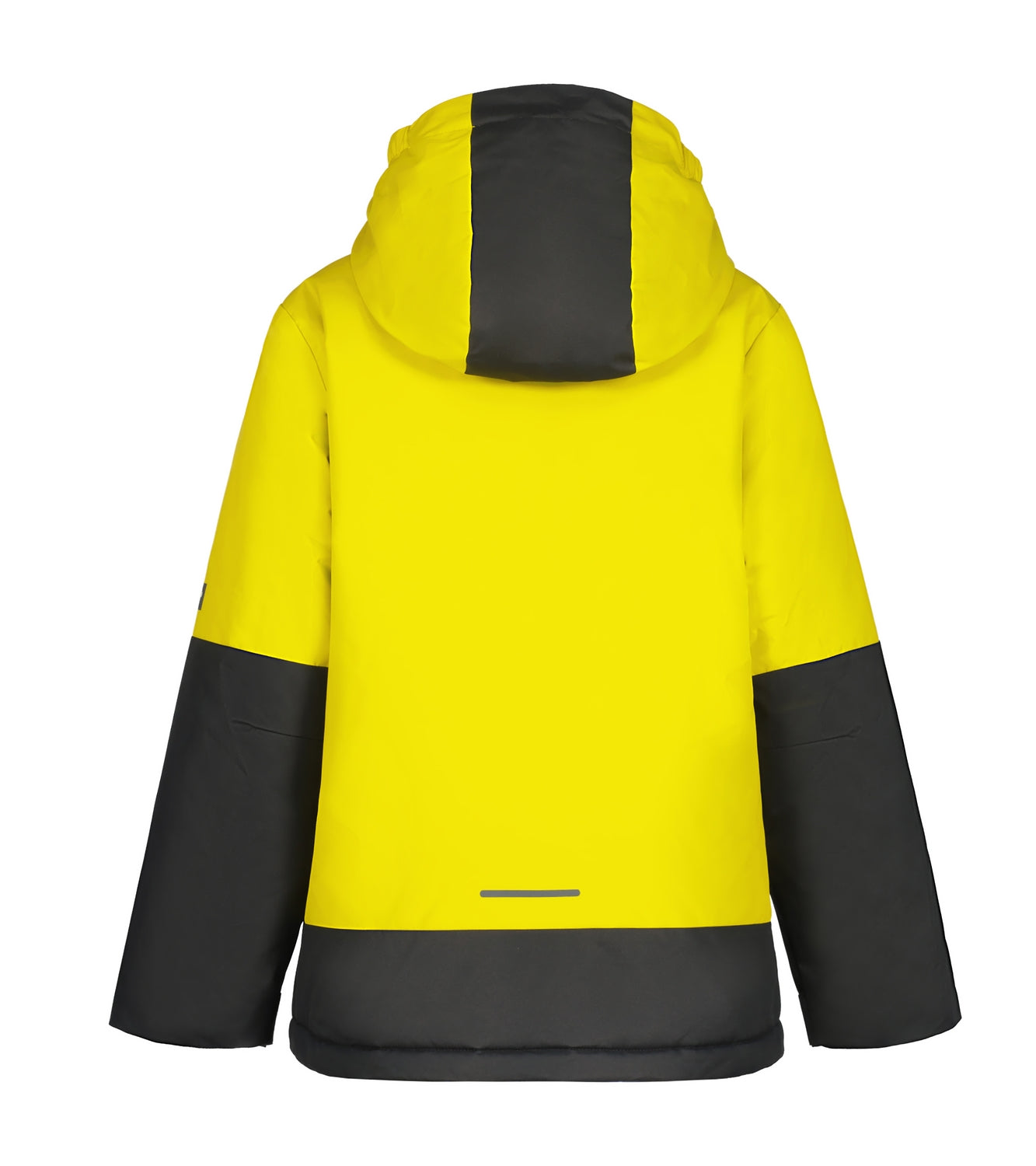 Icepeak Latimer Junior Jacket 2026 ski jacket -- Olive 570 colorway back view showing articulated powder skirt and fit