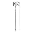 Leki Bliss Ski Poles ski pole -- Anthracite colorway full length view