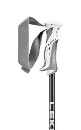 Bliss Ski Poles