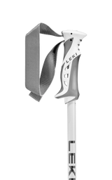 Bliss Ski Poles