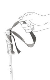 Bliss Ski Poles