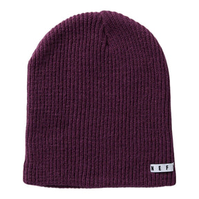 Neff Daily Beanie product -- product view at Willis Ski and Board Pittsburgh