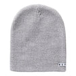 Neff Daily Heather Beanie product -- product view at Willis Ski and Board Pittsburgh