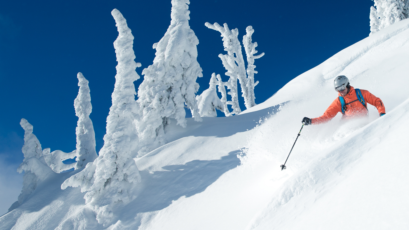 Person skiing down a snowy slope with snow-covered trees and clear blue sky