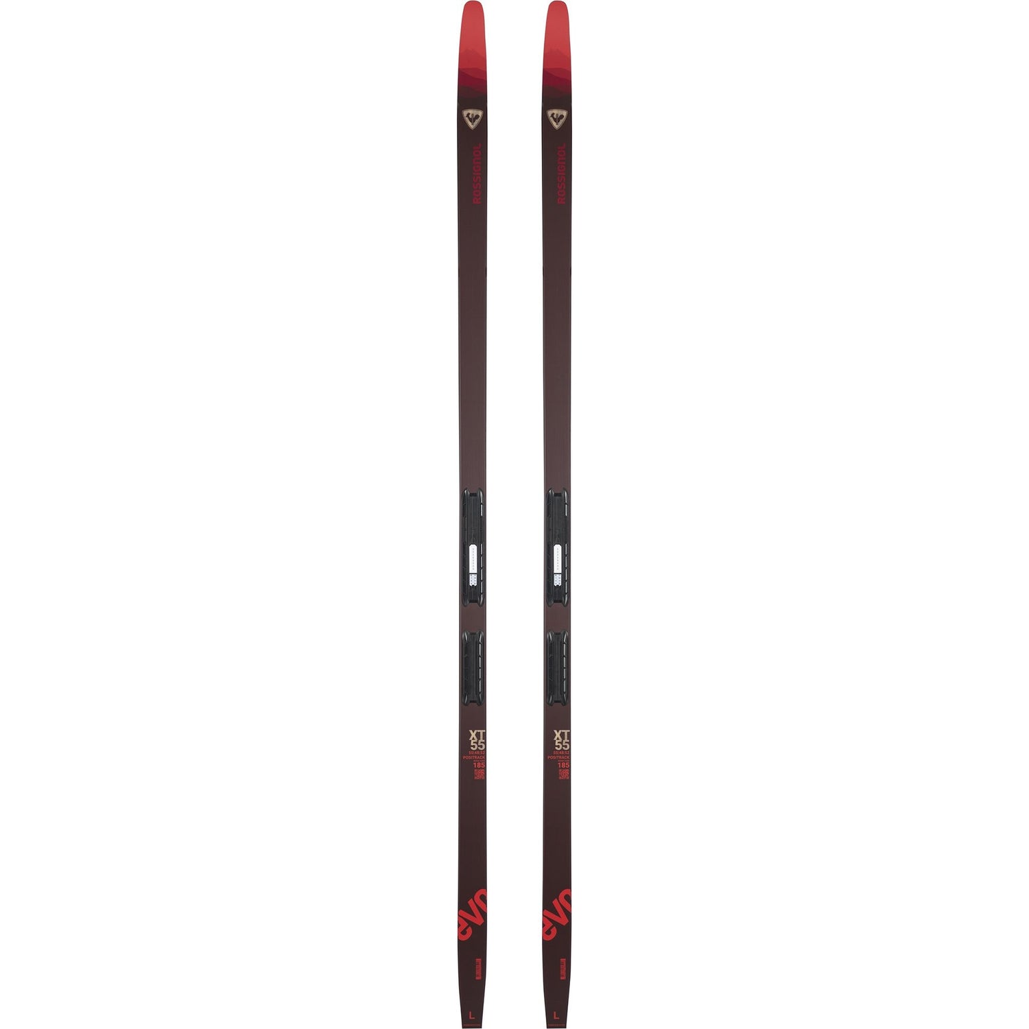 Rossignol Evo Xt 55 Xc Skis cross-country ski -- top sheet graphic at Willis Ski and Board Pittsburgh