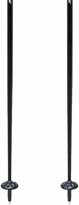 Swix Techlite Poles